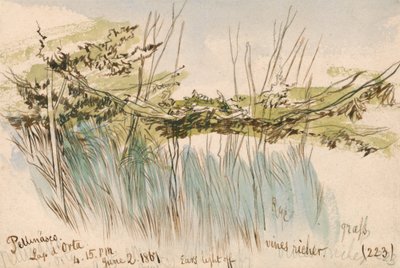 Pettenasco, Lago dOrta by Edward Lear